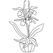 Flowers (Nature and Seasons) coloring page #155251 to print and color