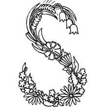 Flowers (Nature and Seasons) coloring page #155253 to print and color