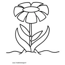 Flowers (Nature and Seasons) coloring page #155264 to print and color