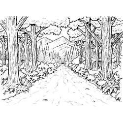 Coloring pages: Forest - Free Printable Coloring Pages