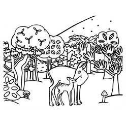 Forest (Nature and Seasons) coloring page #191236 to print and color