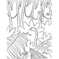Forest (Nature and Seasons) coloring page #191239 to print and color