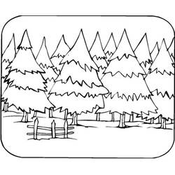 Coloring page: Forest (Nature and Seasons) #191244 - Free Printable Coloring Pages