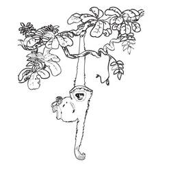 Forest (Nature and Seasons) coloring page #191255 to print and color