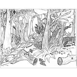 Forest (Nature and Seasons) coloring page #191256 to print and color