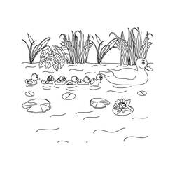 Lake (Nature and Seasons) coloring page #207350 to print and color