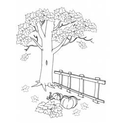 Landscape (Nature and Seasons) coloring page #165869 to print and color