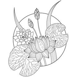 Coloring pages: Lotus - Free Printable Coloring Pages