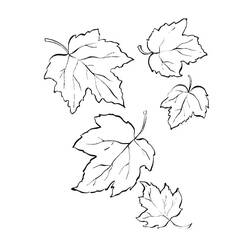 Coloring pages: Maple Leaf - Free Printable Coloring Pages