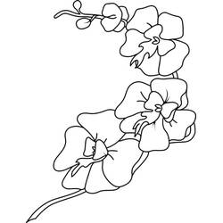 Coloring pages: Orchid - Free Printable Coloring Pages
