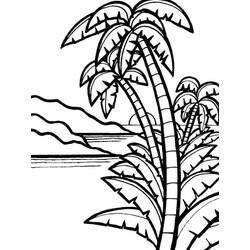 Palm tree (Nature and Seasons) coloring page #200690 to print and color