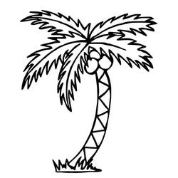 Palm tree (Nature and Seasons) coloring page #200705 to print and color