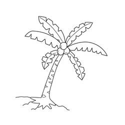 Palm tree (Nature and Seasons) coloring page #200725 to print and color