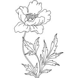 Poppy (Nature and Seasons) coloring page #182370 to print and color