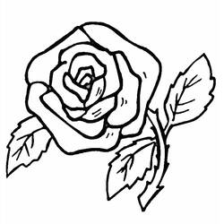 Coloring page: Roses (Nature and Seasons) #161870 - Free Printable Coloring Pages