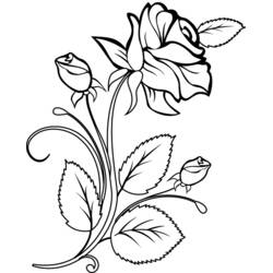 Coloring page: Roses (Nature and Seasons) #161874 - Free Printable Coloring Pages