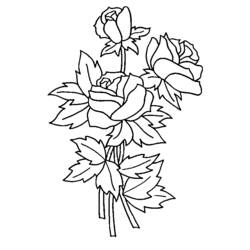 Coloring page: Roses (Nature and Seasons) #161895 - Free Printable Coloring Pages