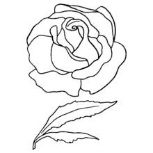 Roses (Nature and Seasons) coloring page #161931 to print and color