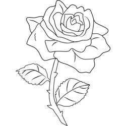Coloring page: Roses (Nature and Seasons) #161971 - Free Printable Coloring Pages