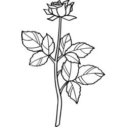 Coloring page: Roses (Nature and Seasons) #161973 - Free Printable Coloring Pages