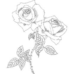 Roses (Nature and Seasons) coloring page #161977 to print and color