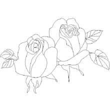 Roses (Nature and Seasons) coloring page #161988 to print and color