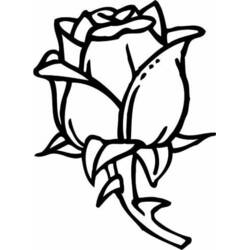 Roses (Nature and Seasons) coloring page #162032 to print and color