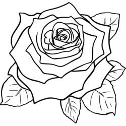 Coloring page: Roses (Nature and Seasons) #162072 - Free Printable Coloring Pages