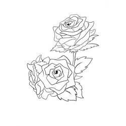 Roses (Nature and Seasons) coloring page #176447 to print and color