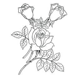 Roses (Nature and Seasons) coloring page #176449 to print and color