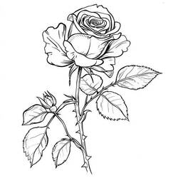Roses (Nature and Seasons) coloring page #218713 to print and color