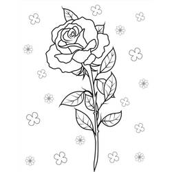 Roses (Nature and Seasons) coloring page #218719 to print and color