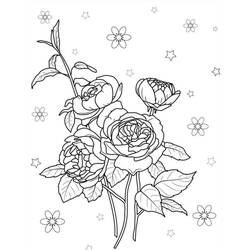 Roses (Nature and Seasons) coloring page #218723 to print and color