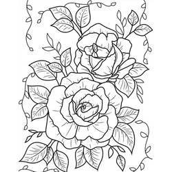 Roses (Nature and Seasons) coloring page #218729 to print and color