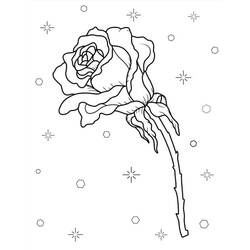 Roses (Nature and Seasons) coloring page #218730 to print and color