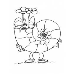 Shell (Nature and Seasons) coloring page #163182 to print and color