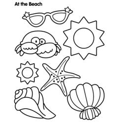 Shell (Nature and Seasons) coloring page #163198 to print and color