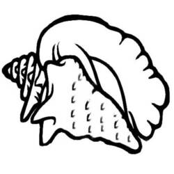 Shell (Nature and Seasons) coloring page #163205 to print and color