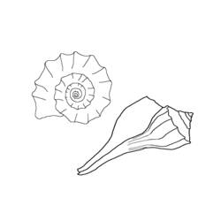 Shell (Nature and Seasons) coloring page #163303 to print and color