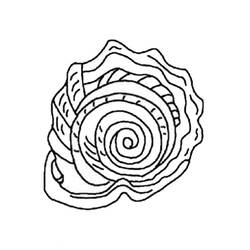Shell (Nature and Seasons) coloring page #163356 to print and color