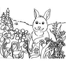 Spring Season (Nature and Seasons) coloring page #164756 to print and color