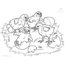 Spring Season (Nature and Seasons) coloring page #164840 to print and color