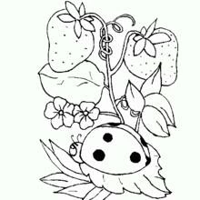 Spring Season (Nature and Seasons) coloring page #164894 to print and color