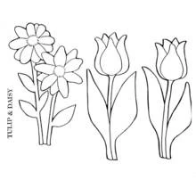 Spring Season (Nature and Seasons) coloring page #164915 to print and color