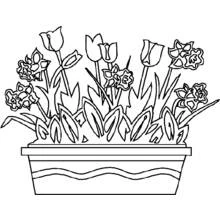 Spring Season (Nature and Seasons) coloring page #164987 to print and color