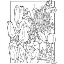 Spring Season (Nature and Seasons) coloring page #165012 to print and color