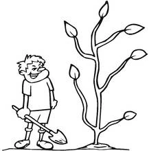 Spring Season (Nature and Seasons) coloring page #165034 to print and color