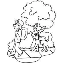 Summer season (Nature and Seasons) coloring page #165218 to print and color