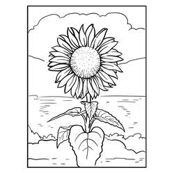 Coloring pages: Sunflower - Free Printable Coloring Pages