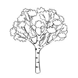 Coloring page: Tree (Nature and Seasons) #154671 - Free Printable Coloring Pages